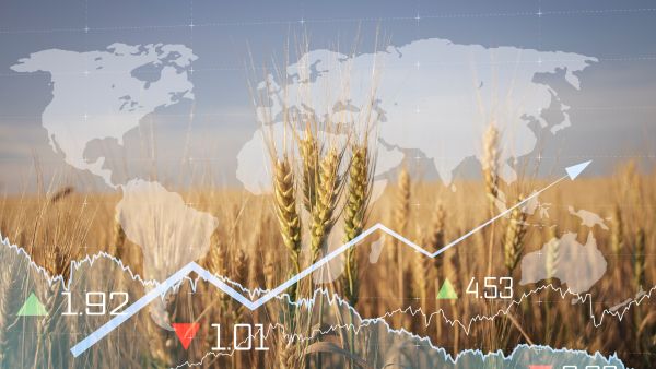 الحروب وتراجع أسعار العملات تفاقمان أزمة الغذاء في العالم