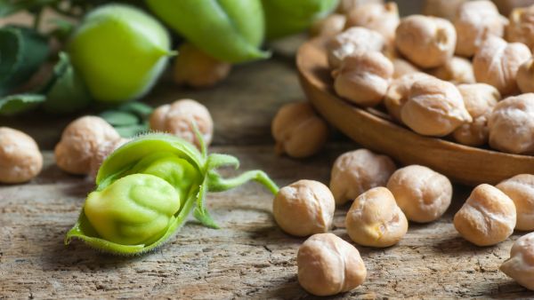 تفسير حلم الحمص الأخضر في المنام