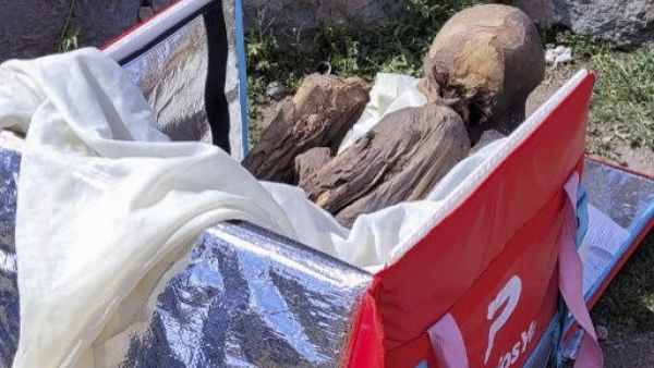 mummified corpse