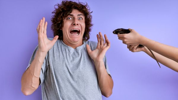 ما تفسير رؤية الفئران في الأحلام؟