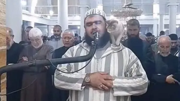 قطة تتسلق جسد الامام الجزائري علي مهساس 