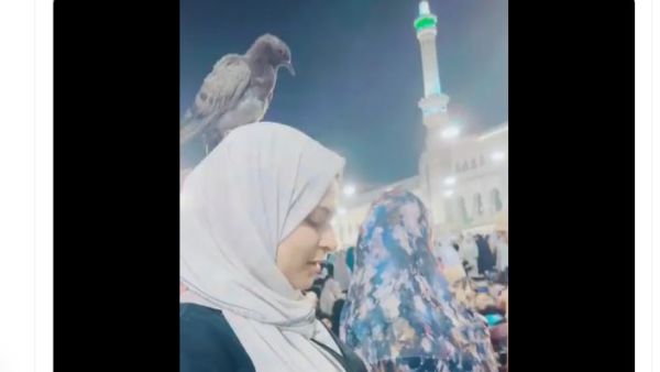طير يستقر على رأس فتاة اثناء صلاتها في مكة