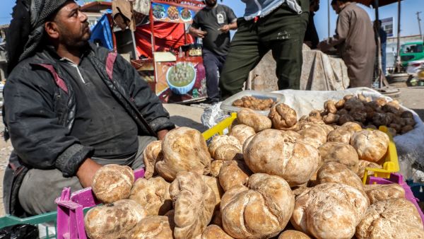 رجل يبيع الكمأة