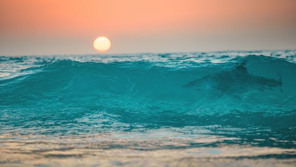 Man hospitalized with shark bite in Hawaii