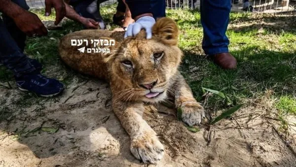 خالة الطفل تحمل ادارة الحديقة المسؤولية