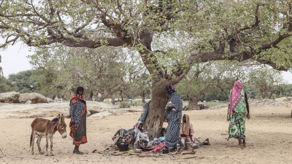 هدنة 7 ايام في السودان