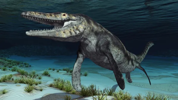 mosasaur