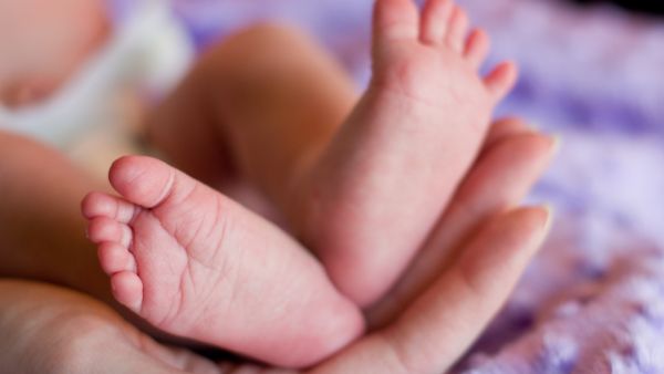 Dutch sperm donor gives birth to 550 kids 