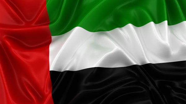 UAE to head UN Security Council in June