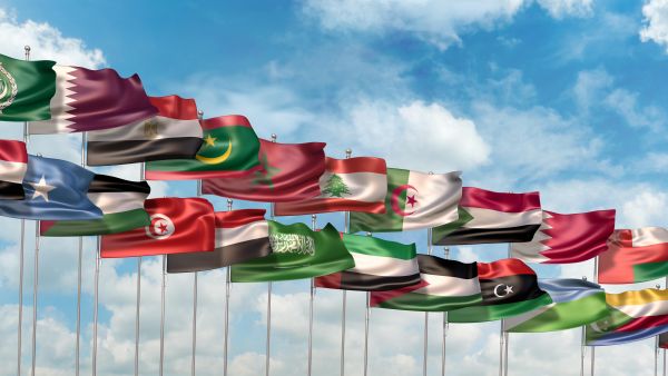 Arab League Summit to take place on May 19