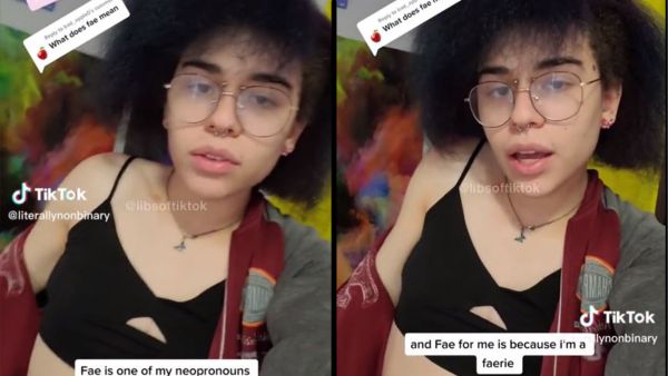 faeriegender 