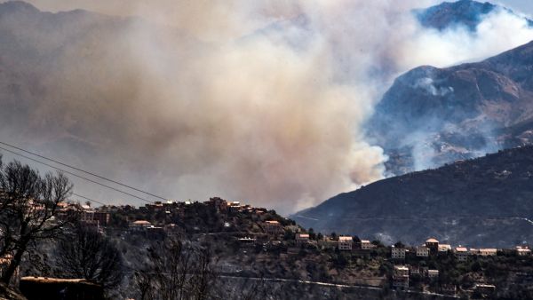 Algeria wildfire
