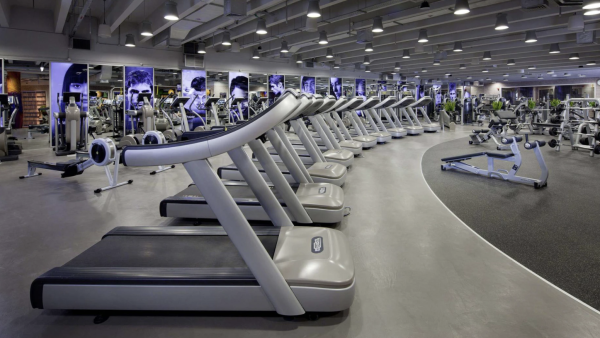 GYM Dubai Sports Council approved the system of fitness centers classification based on the number of stars.