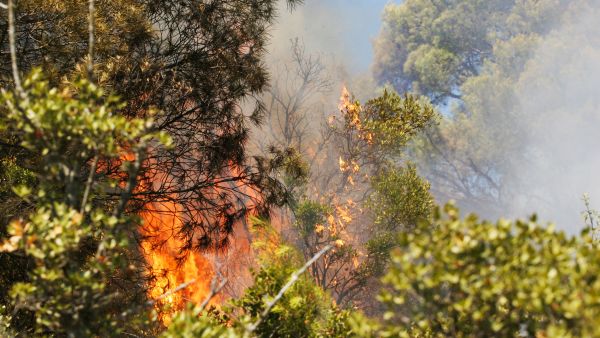 wildfire engulfs roads in Italy's Sicily