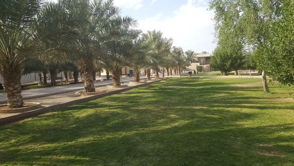 حديقة الروابي الأولى الرياض