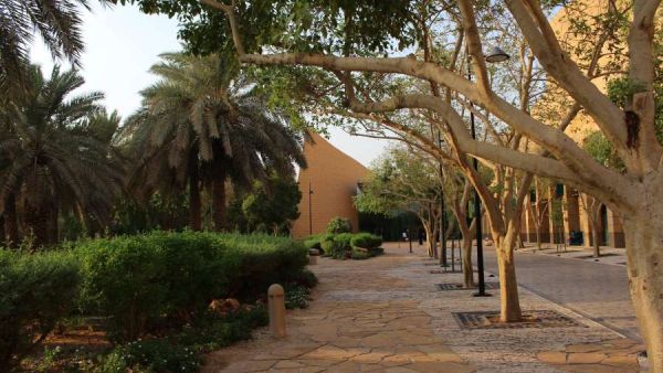 حديقة المتحف الوطني الرياض
