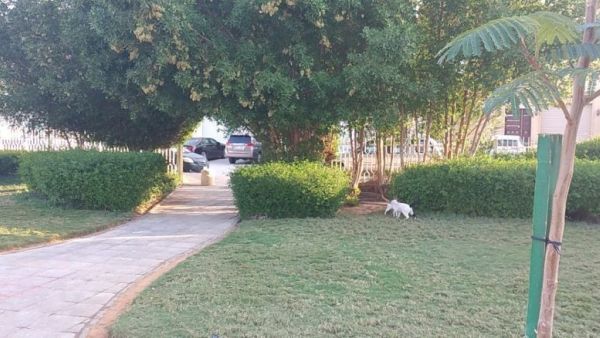 حديقة غرناطة الاولى الرياض