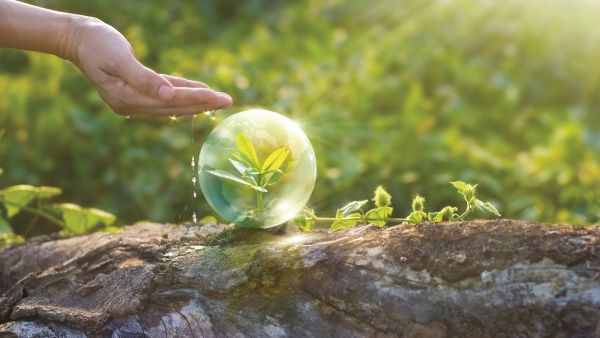 Axis’s commitment to people extends beyond its business community and into the local communities in which the company operates. Axis Communications Sustainability Report showcases commitment to sustainable business practices