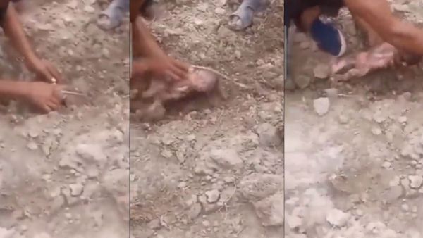 Morocco Earthquake 