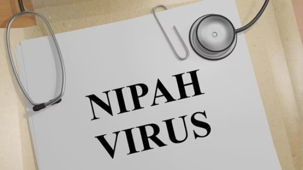 Nipah virus