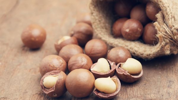macadamia nuts