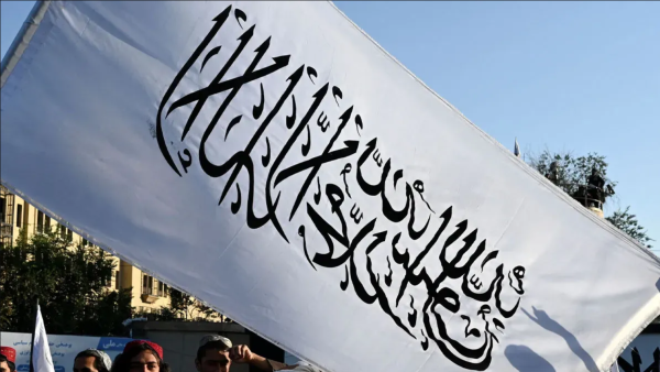 هل رفع علم طالبان في مظاهرة مؤيدة لفلسطين في أمريكا؟