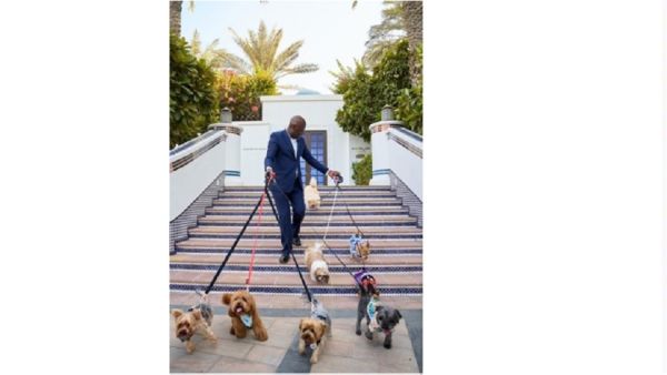Treat your dog and yourself to a truly unforgettable stay at Park Hyatt Dubai Park Hyatt Dubai Introduces a Tail-Telling Stay Offer
