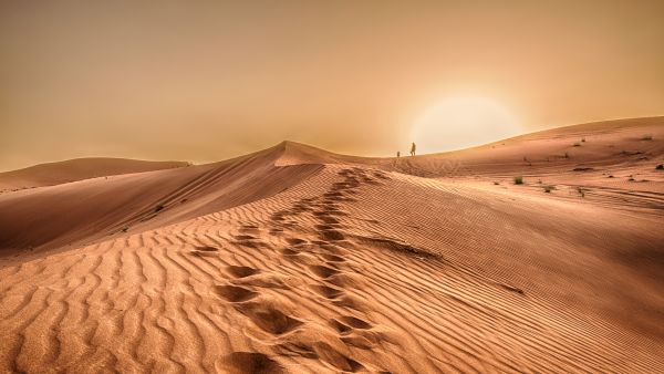 Sahara