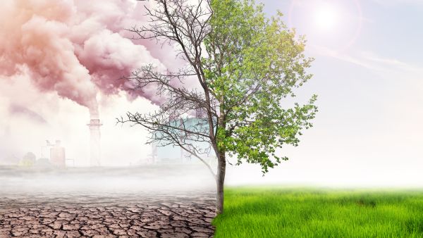 pollution