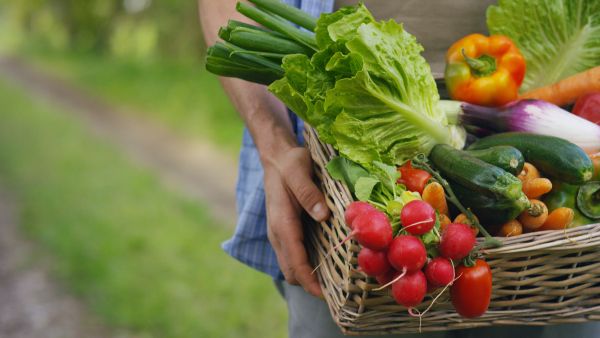 Eating vegetables before a meal