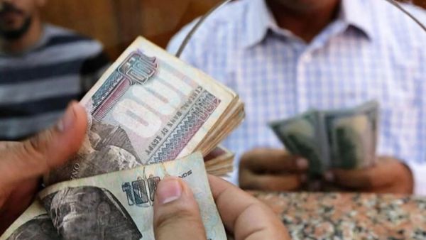 سعر الدولار اليوم في مصر