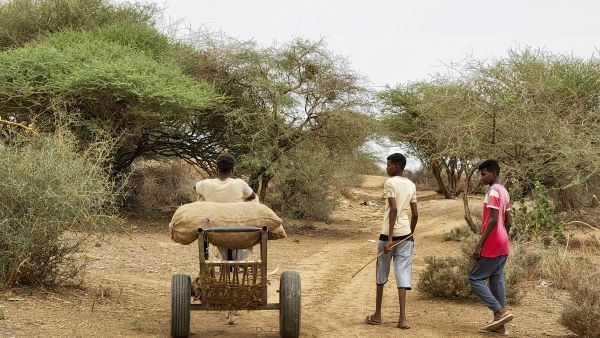 Sudan