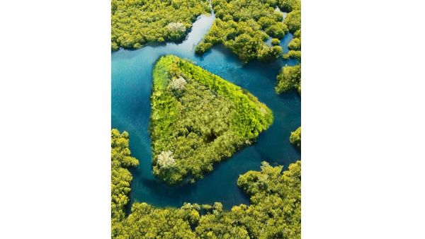 ADCB has the highest ESG rating among diversified banks in the region from one of the world’s leading ESG rating agencies, Sustainalytics. ADCB launches its Sustainable Call Account to support corporate customers pursue environmental goals