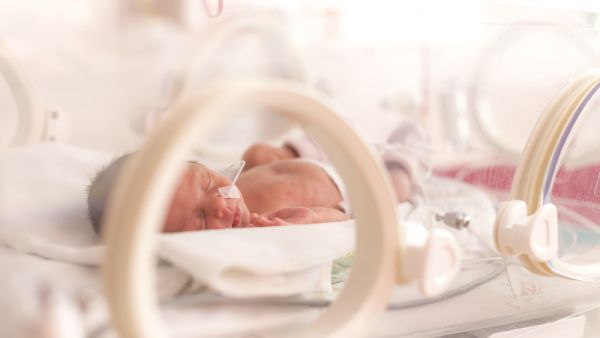Infants decomposition in Gaza Hopsitals