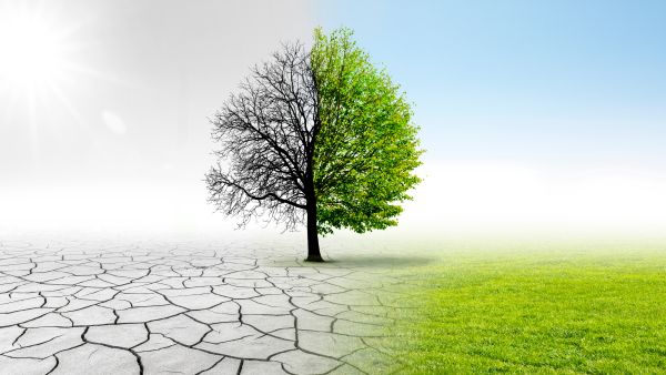 Climate Change