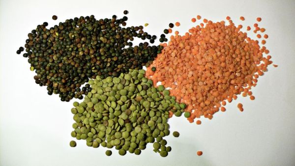 تفسير رؤية العدس في المنام