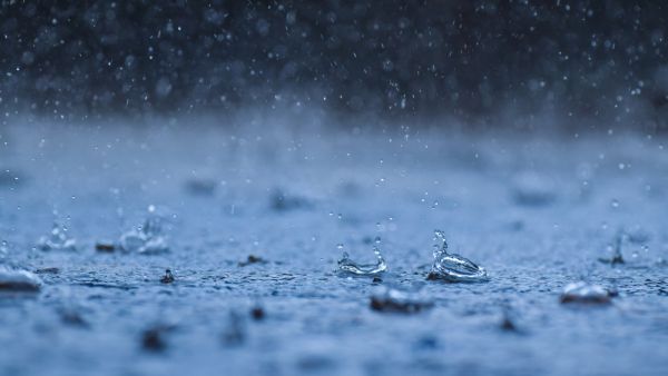 رسائل صباحية جميلة عن المطر
