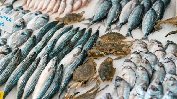 سوق السمك جدة