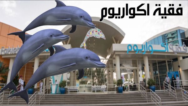 فقيه اكواريوم جدة