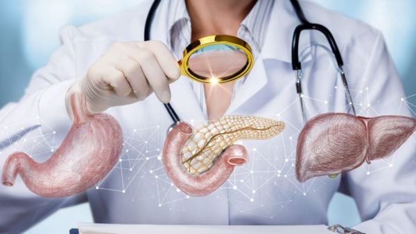 أفضل دكتور باطنية في جدة