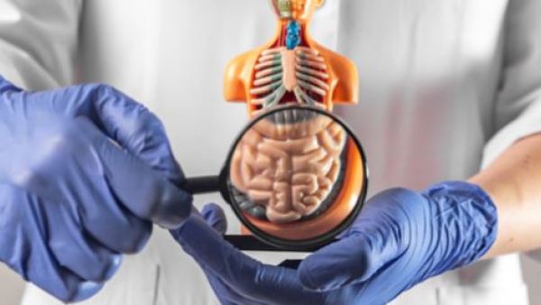 أفضل دكتور جهاز هضمي في جدة.