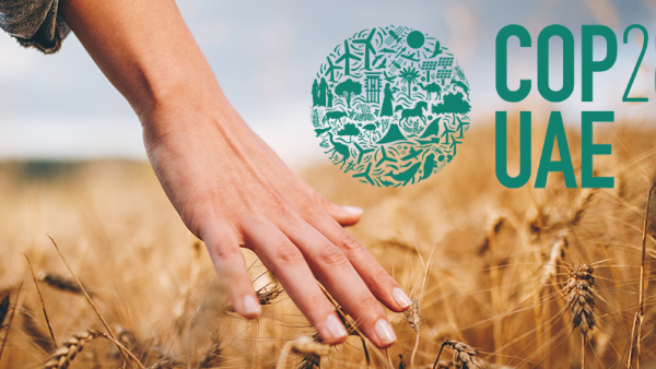Climate change is here to stay. It is called as a “crisis multiplier” increasing conflicts globally. Boris Volfman, Founder of Royal Innovative said, “With new policies, we need to address long-term goals like climate change and transform the food system.” Royal Innovative: “We need a new food system ensuring that we give more to nature than we take from it”