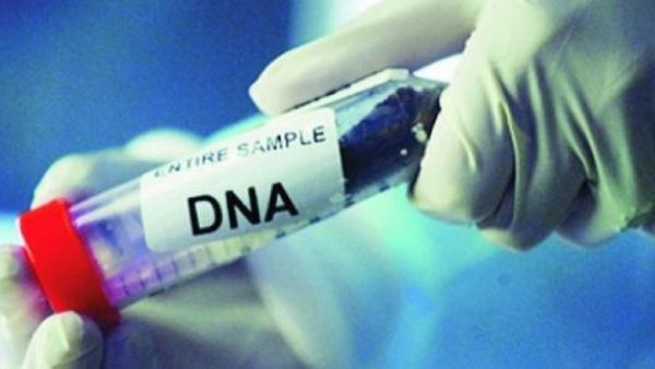 DNA