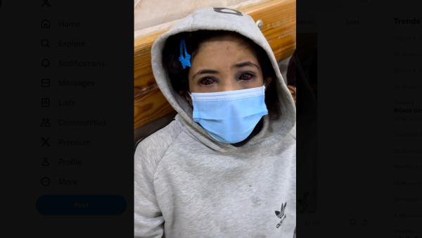 أمينة غانم