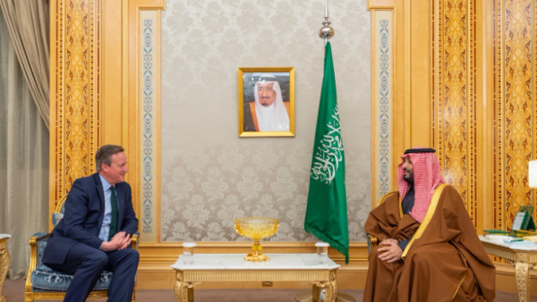 British Foreign Minister, David Cameron (L), during his meeting with the Saudi Crown Prince, Mohammed Bin Salman