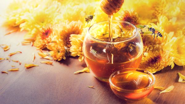 alternative to sugar