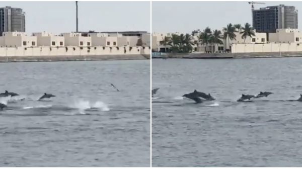 Jeddah Sea