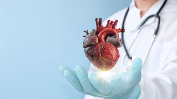 طبيب البوابة: نصائح لتقليل خطر الإصابة بأمراض القلب والأوعية الدموية