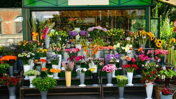 flower shop
