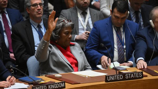 UN Security Council